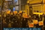 دلار یانکی ها، اردوغان را درسراشیبی سقوط سوق میدهد!