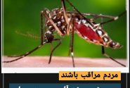 دیده شدن پشه آئدس در بندرعباس