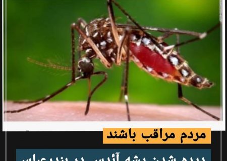 دیده شدن پشه آئدس در بندرعباس