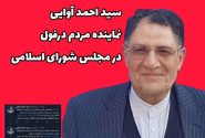 نقد و بررسی عملکرد ۳ ساله  سید احمد آوایی نماینده شهرستان دزفول در مجلس شورای اسلامی