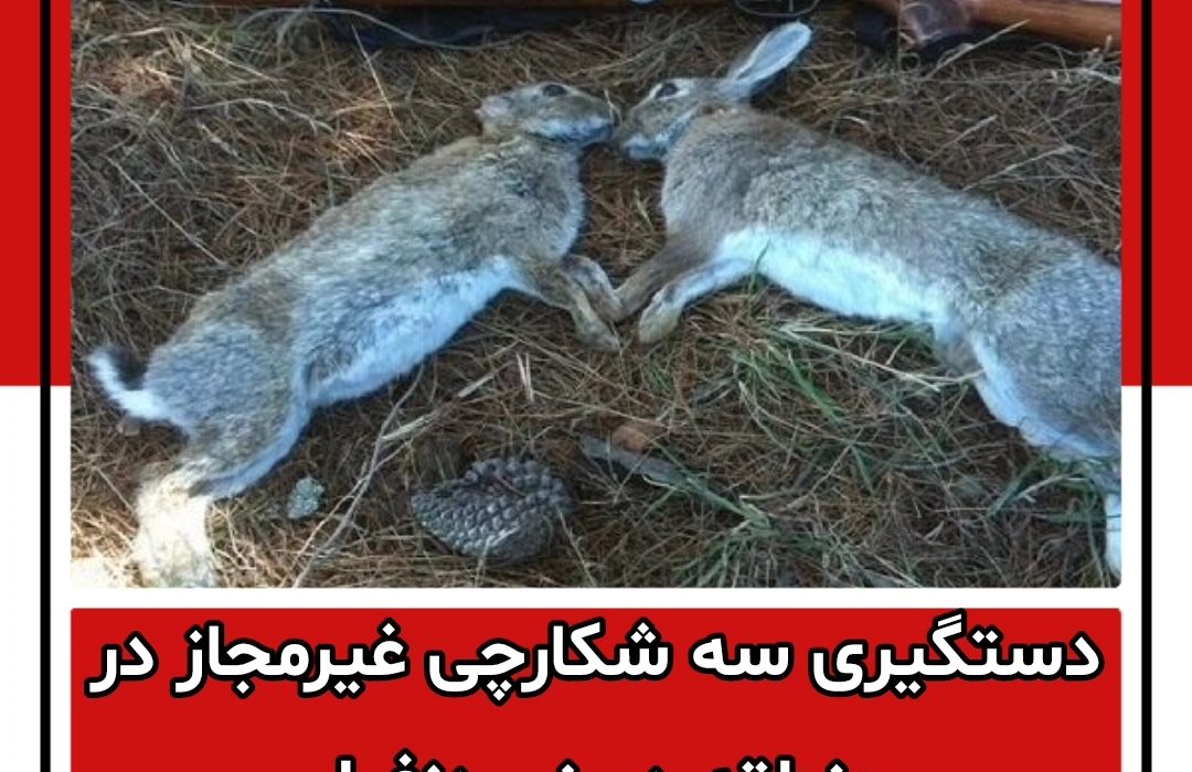 دستگیری سه شکارچی غیرمجاز در منطقه دیونی دزفول