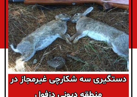 دستگیری سه شکارچی غیرمجاز در منطقه دیونی دزفول