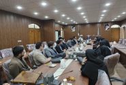 رییس دادگستری دزفول: سواد حقوقی پایین عامل حجم زیادی از پرونده‌های قضایی است